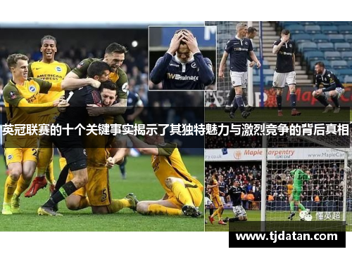 英冠联赛的十个关键事实揭示了其独特魅力与激烈竞争的背后真相